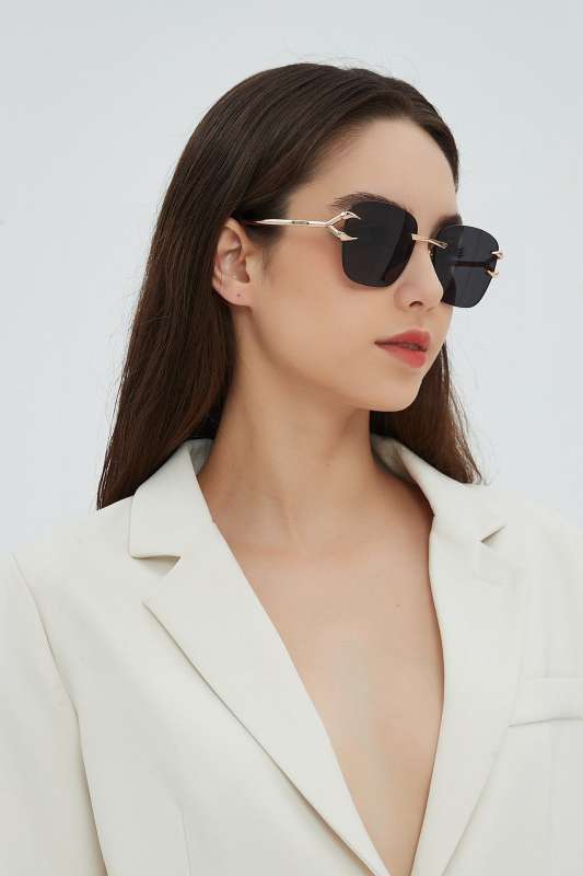 Picture of Roberto Cavalli Sunglasses _SKUfw55481809fw